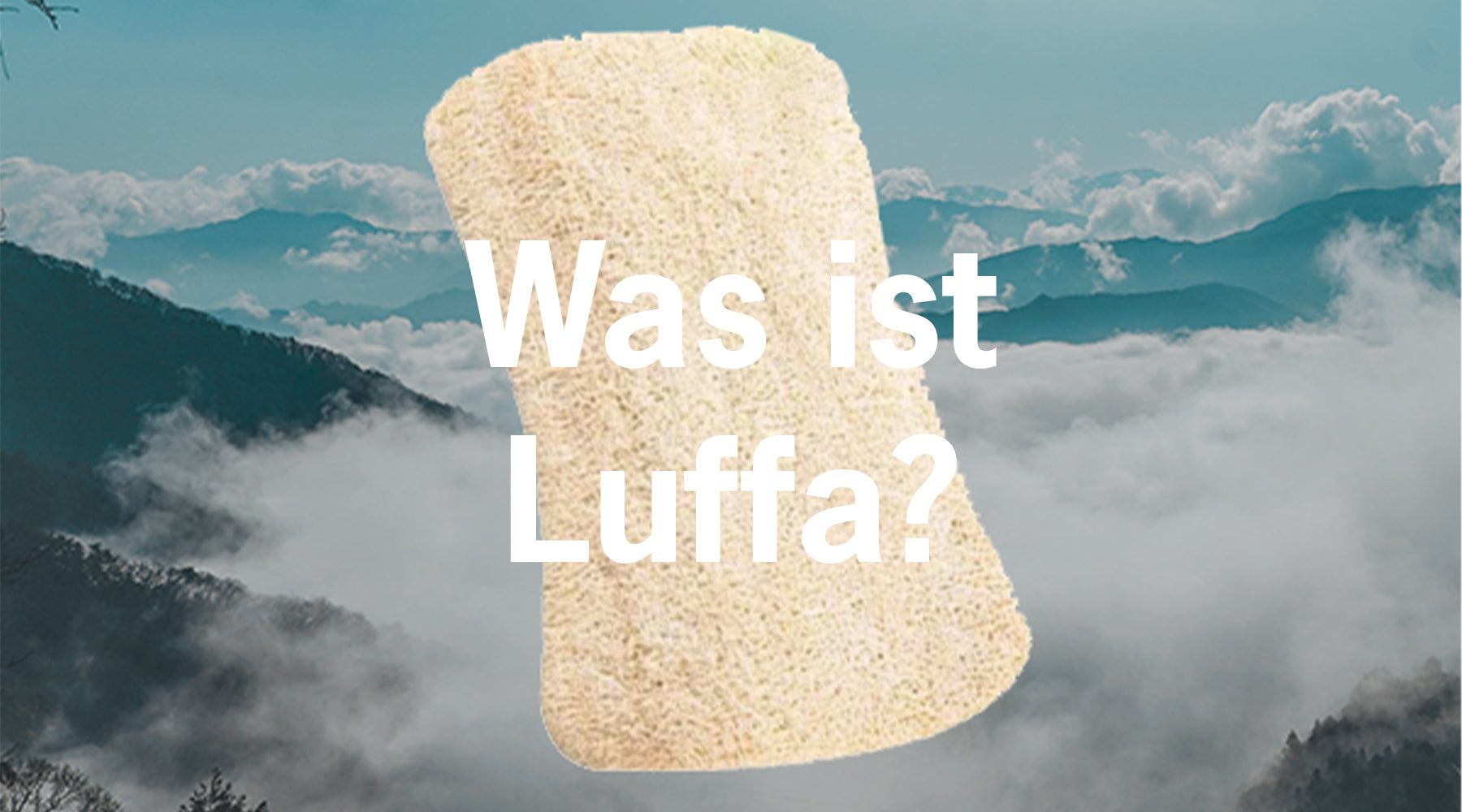 Wunderpflanze Luffa