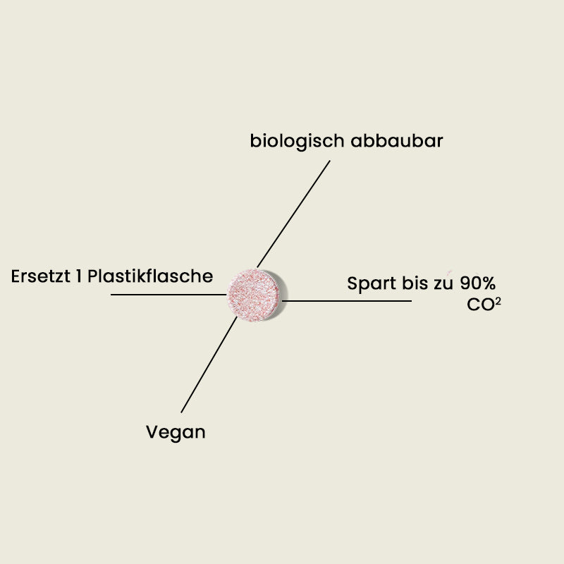 Küchenreiniger, Starter-Set