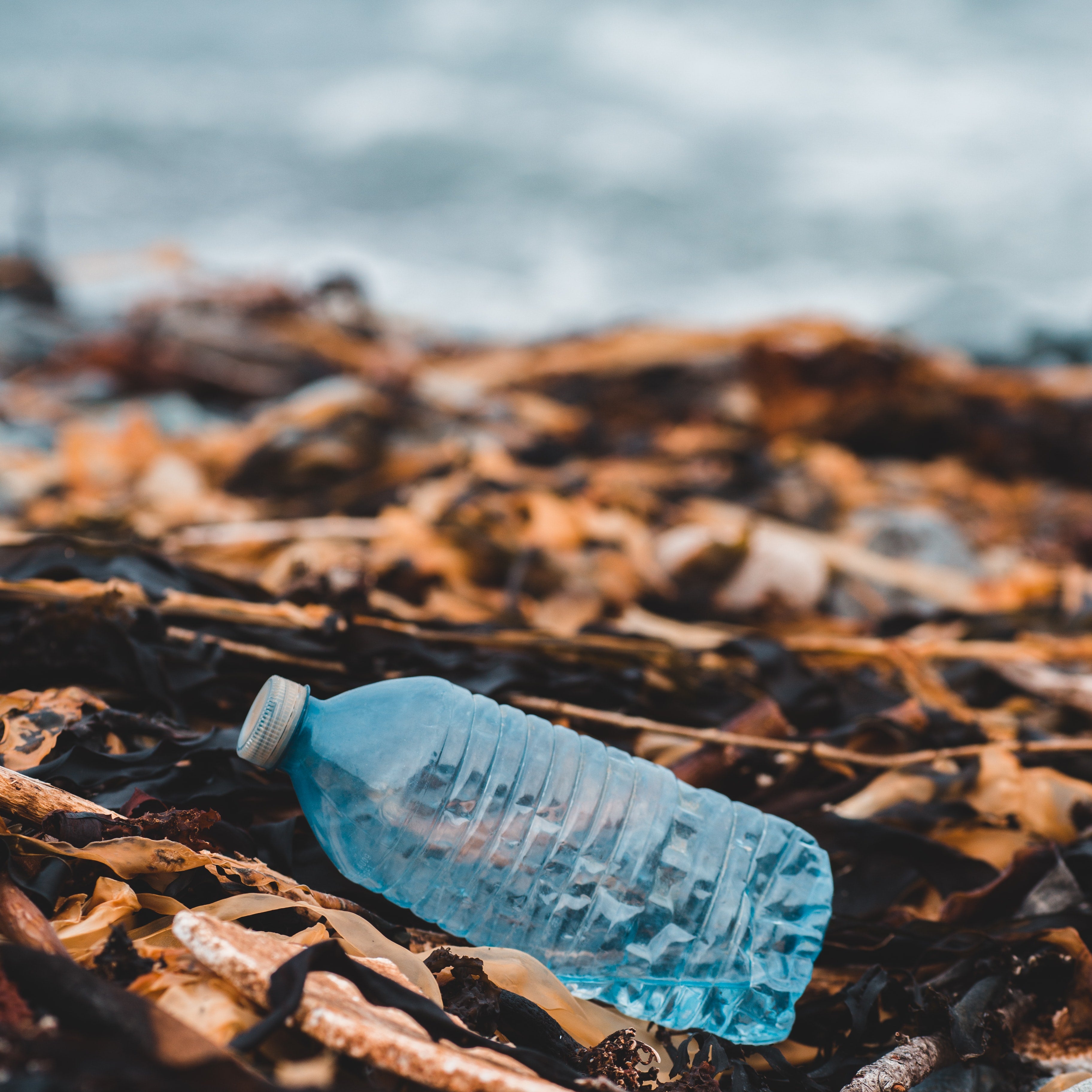 Die Schweiz und Plastikabfall - Erschreckende Tendenz