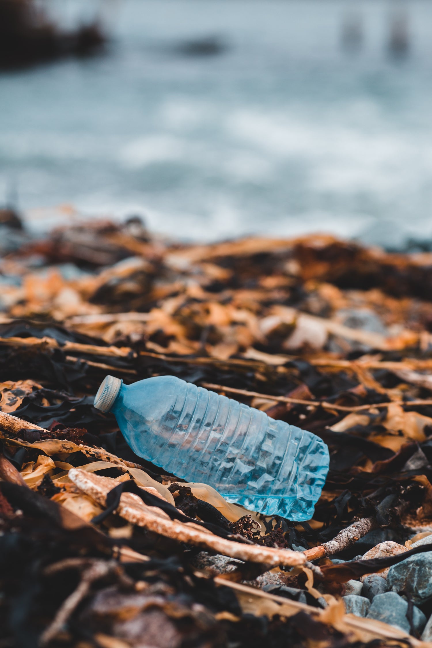 Die Schweiz und Plastikabfall - Erschreckende Tendenz