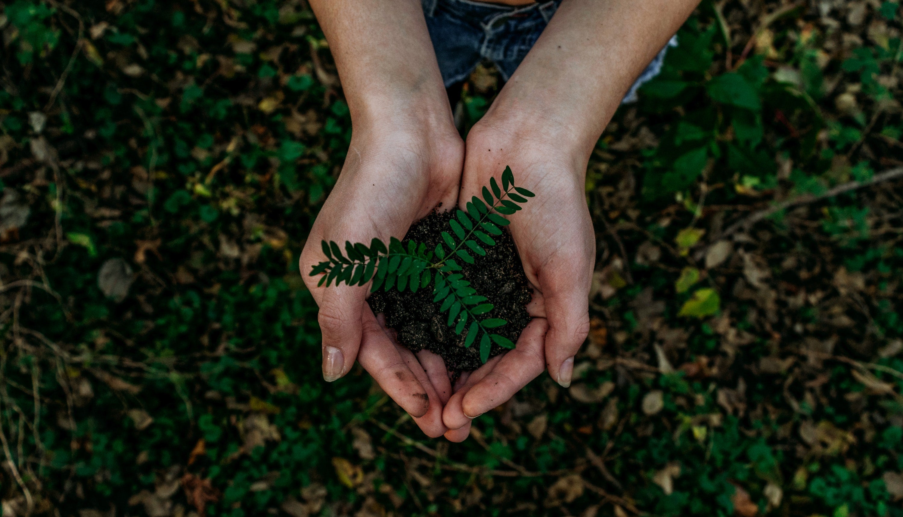 Weltumwelttag | Tag der Umwelt (5. Juni 2022)