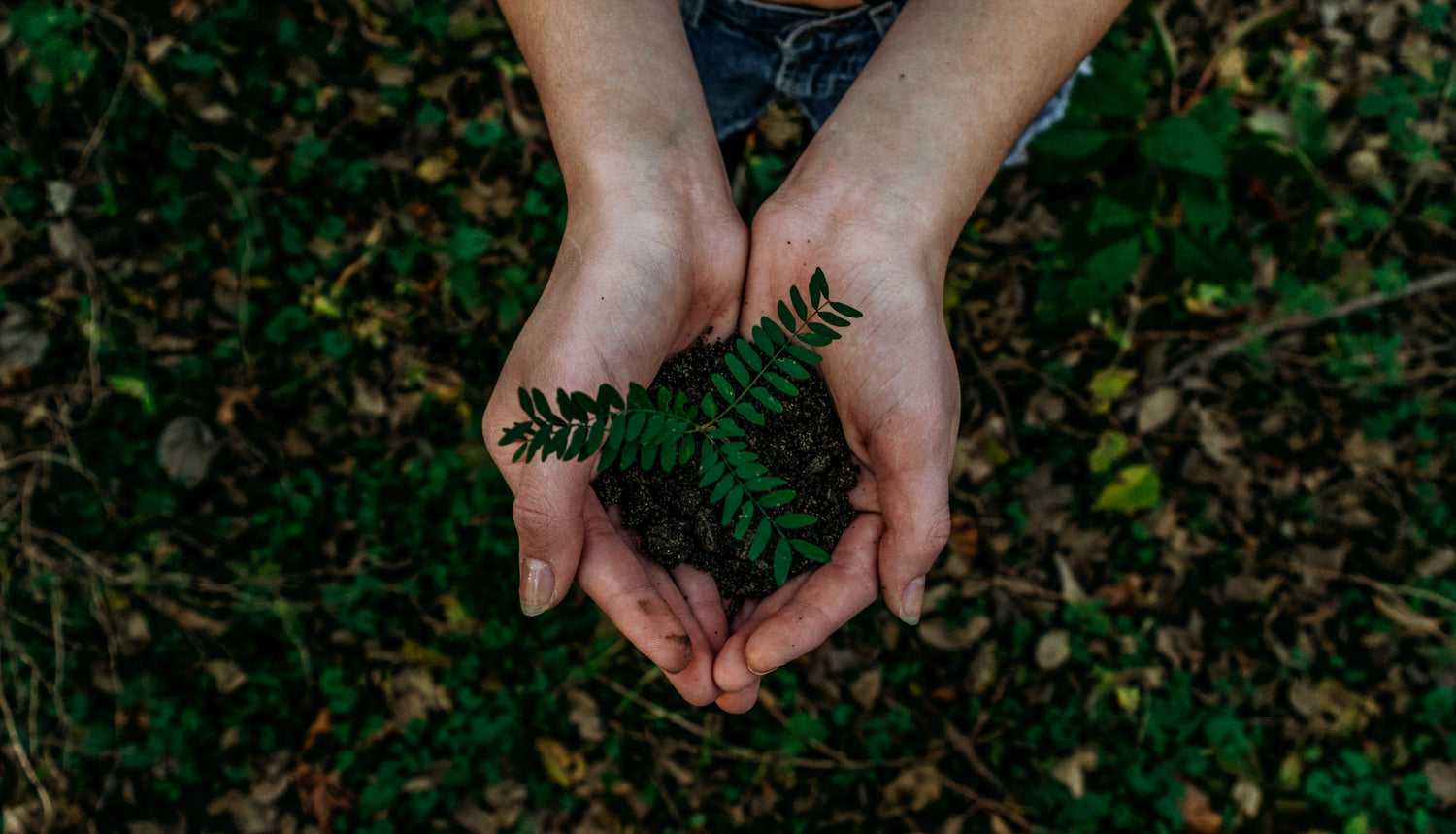 Weltumwelttag | Tag der Umwelt (5. Juni 2022)